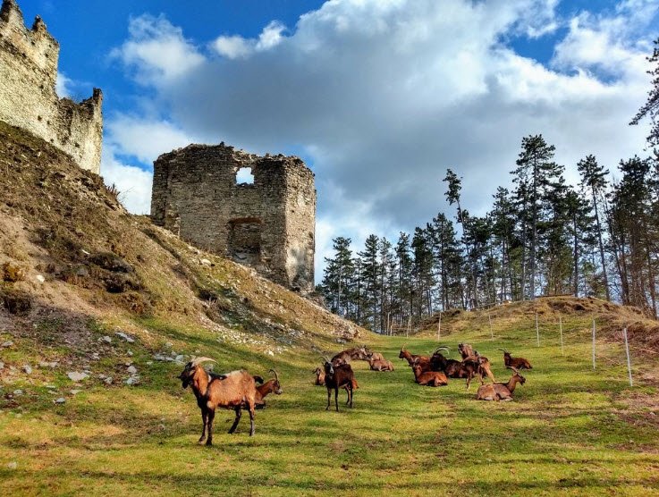 Castle Sklabiňa, Sklabinský Podzámok, Slovakia, Slovakia